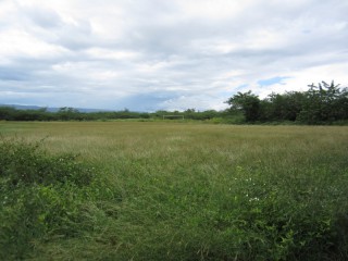 Clarendon, Clarendon, Jamaica - Residential lot for Sale